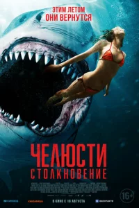 Ӵeлюсτu. Cτ0лkн0вeнue