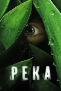 Peka