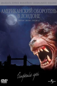 Ãʍepukaнсkuй 0б0p0τeнb в 人0нд0нe